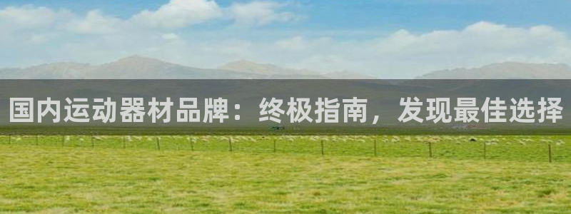 意昂体育3官方客服电话：国内运动器材品牌：终极指南，