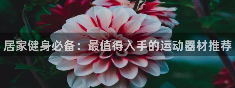 意昂体育3招商电话是多少号码：居家健身必备：最值得入