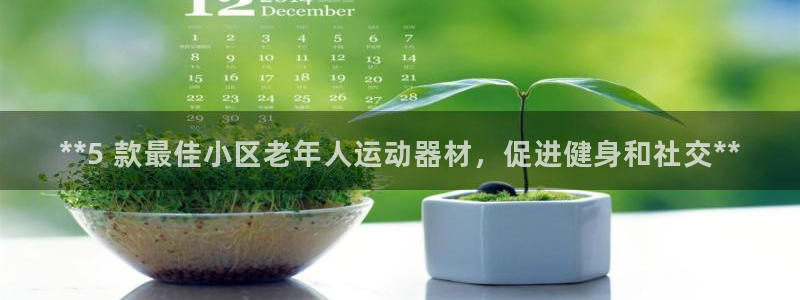 意昂体育3是干嘛的公司：**5 款最佳小区老年人运动