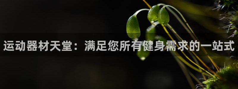 意昂体育3招商电话号码是多少