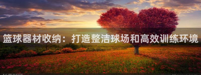 意昂3神州：篮球器材收纳：打造整洁球场和高效训练环境
