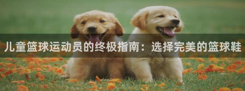 意昂体育3平台假的吗是真的吗