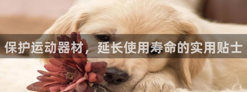 意昂体育3平台注册要钱吗是真的吗：保护运动器材，延长