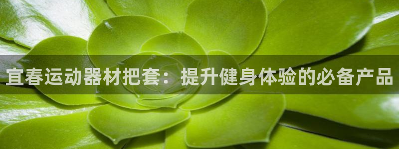 意昂体育3招商电话地址是多少：宜春运动器材把套：提升