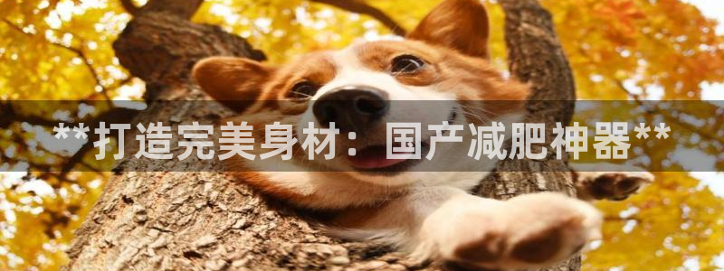 意昂3科技：**打造完美身材：国产减肥神器**