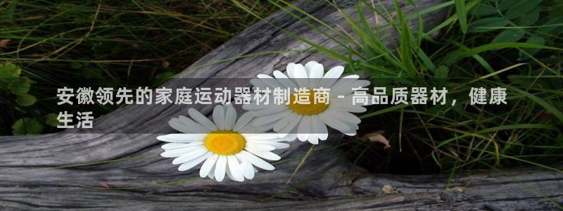意昂3娱乐下载：安徽领先的家庭运动器材制造商 - 高