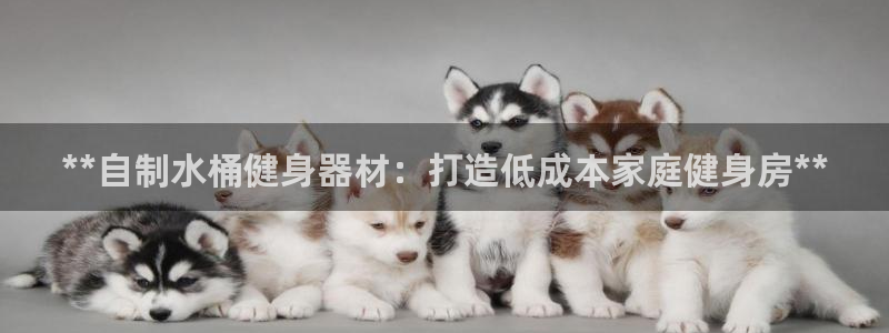 意昂体育3平台注册：**自制水桶健身器材：打造低成本