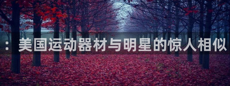 意昂3开户：：美国运动器材与明星的惊人相似