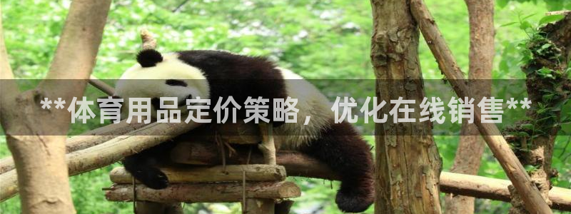 意昂3开户：**体育用品定价策略，优化在线销售**