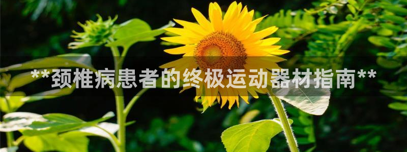 意昂体育3平台：**颈椎病患者的终极运动器材指南**