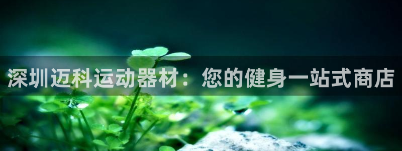 意昂3官网：深圳迈科运动器材：您的健身一站式商店