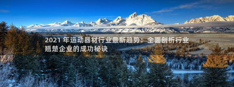 意昂体育3招商电话号码：2021 年运动器材行业最新