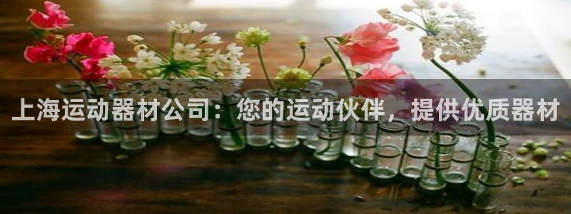 意昂3官网：上海运动器材公司：您的运动伙伴，提供优质