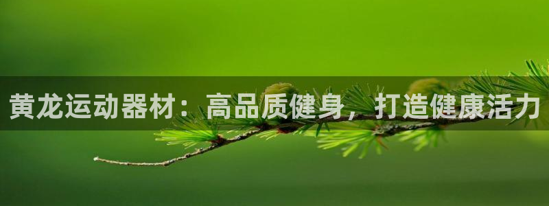 意昂体育3注册：黄龙运动器材：高品质健身，打造健康活