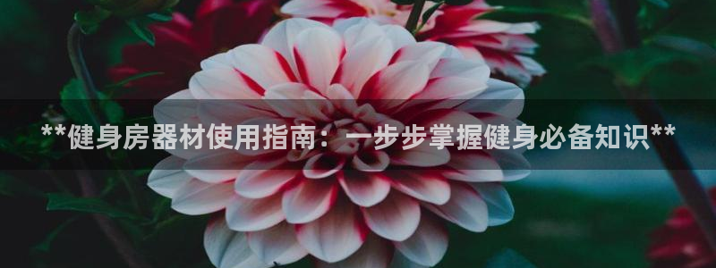 意昂体育3招商电话号码查询是多少：**健身房器材使用