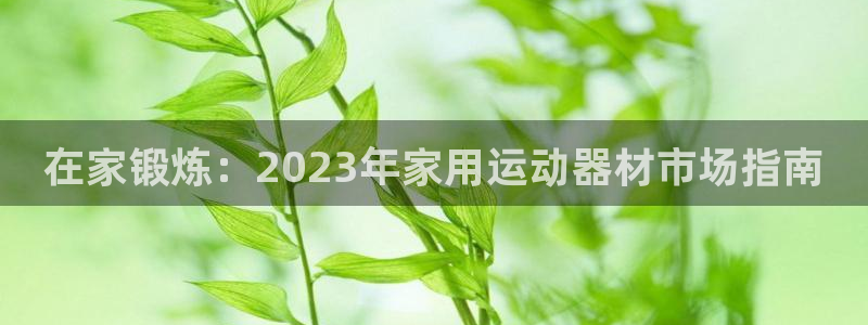 意昂3娱乐平台：在家锻炼：2023年家用运动器材市场