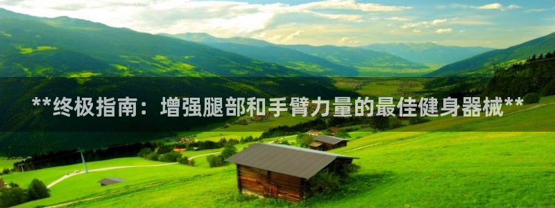 意昂3娱乐代理怎么样：**终极指南：增强腿部和手臂力