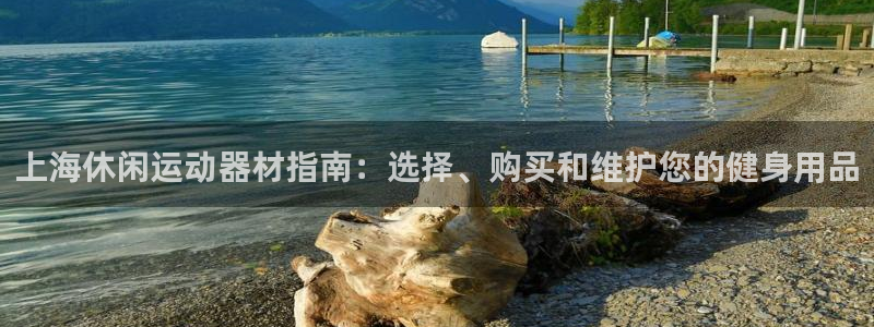 注册意昂3：上海休闲运动器材指南：选择、购买和维护您