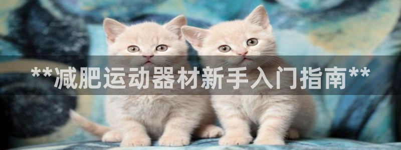 意昂体育3娱乐：**减肥运动器材新手入门指南**