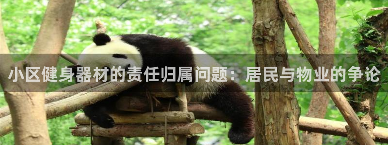 意昂体育3注册：小区健身器材的责任归属问题：居民与物