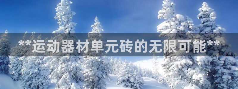 意昂体育3平台注册要钱吗安全吗：**运动器材单元砖的
