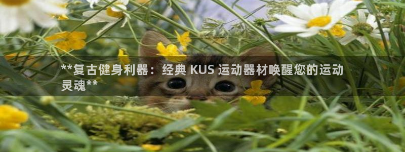 意昂平台体育：**复古健身利器：经典 KUS 运动器
