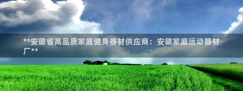意昂3娱乐代理怎么样：**安徽省高品质家庭健身器材供
