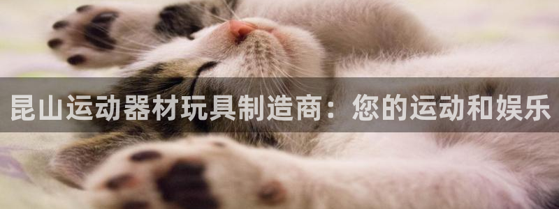 意昂3集团官网首页：昆山运动器材玩具制造商：您的运动