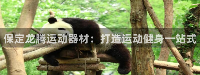 意昂平台体育：保定龙腾运动器材：打造运动健身一站式