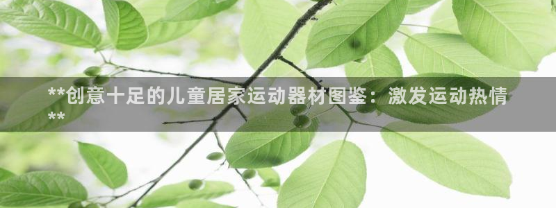 意昂体育3招商电话：**创意十足的儿童居家运动器材图