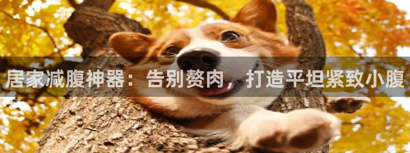 意昂体育3招商电话号码查询：居家减腹神器：告别赘肉，