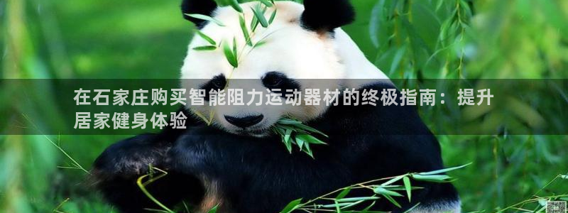 意昂3集团官网首页：在石家庄购买智能阻力运动器材的终