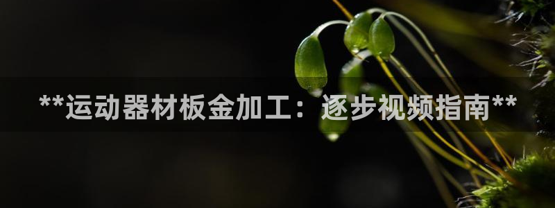 意昂体育3平台是正规平台吗知乎：**运动器材板金加工