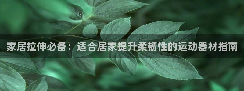 意昂3集团logo：家居拉伸必备：适合居家提升柔韧性