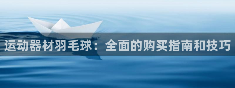 意昂体育3平台注册要钱吗：运动器材羽毛球：全面的购买