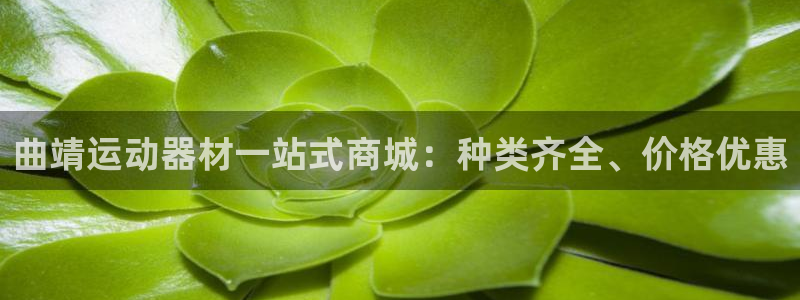 意昂3集团：曲靖运动器材一站式商城：种类齐全、价格优