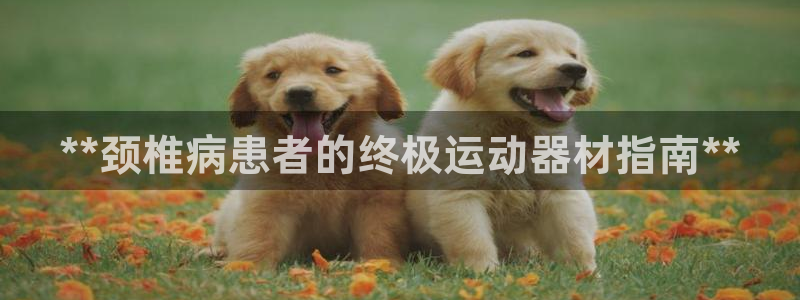 意昂3娱乐首页官网下载：**颈椎病患者的终极运动器材