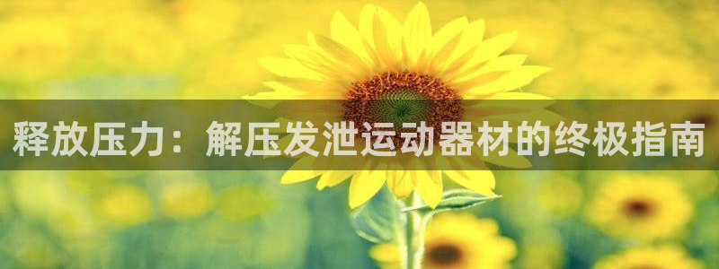 意昂3科技：释放压力：解压发泄运动器材的终极指南