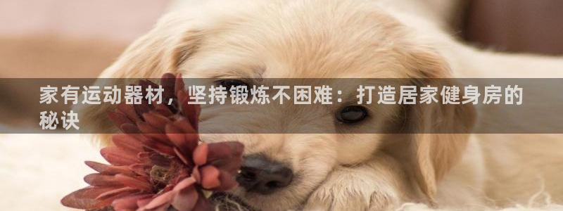 意昂体育3是干嘛的公司：家有运动器材，坚持锻炼不困难