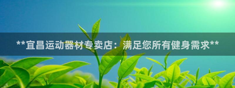 意昂3集团logo：**宜昌运动器材专卖店：满足您所