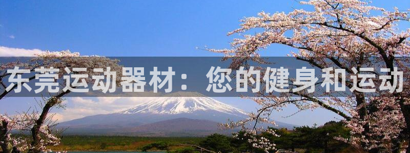 意昂3新能源：东莞运动器材：您的健身和运动