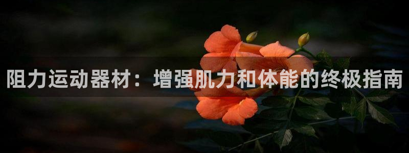 意昂体育3招商电话号码是多少号：阻力运动器材：增强肌力和体能