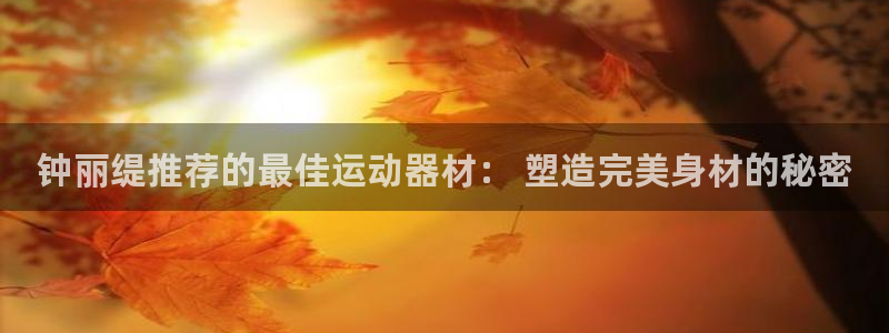 意昂体育3是干嘛的公司：钟丽缇推荐的最佳运动器材： 