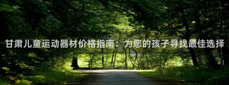 海南意昂体育3：甘肃儿童运动器材价格指南：为您的孩子寻找最佳