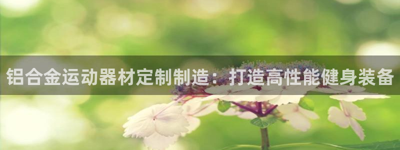 意昂3娱乐40996：铝合金运动器材定制制造：打造高