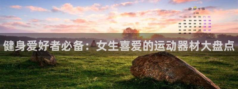 意昂集团官网：健身爱好者必备：女生喜爱的运动器材大盘