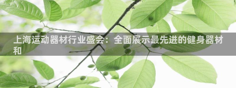 意昂体育3平台注册：上海运动器材行业盛会：全面展示最