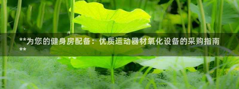 意昂体育3平台注册流程视频：**为您的健身房配备：优