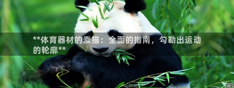 意昂体育3招商：**体育器材的素描：全面的指南，勾勒