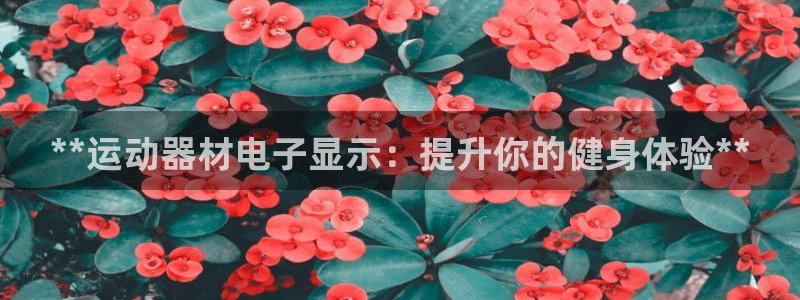 意昂体育3平台：**运动器材电子显示：提升你的健身体